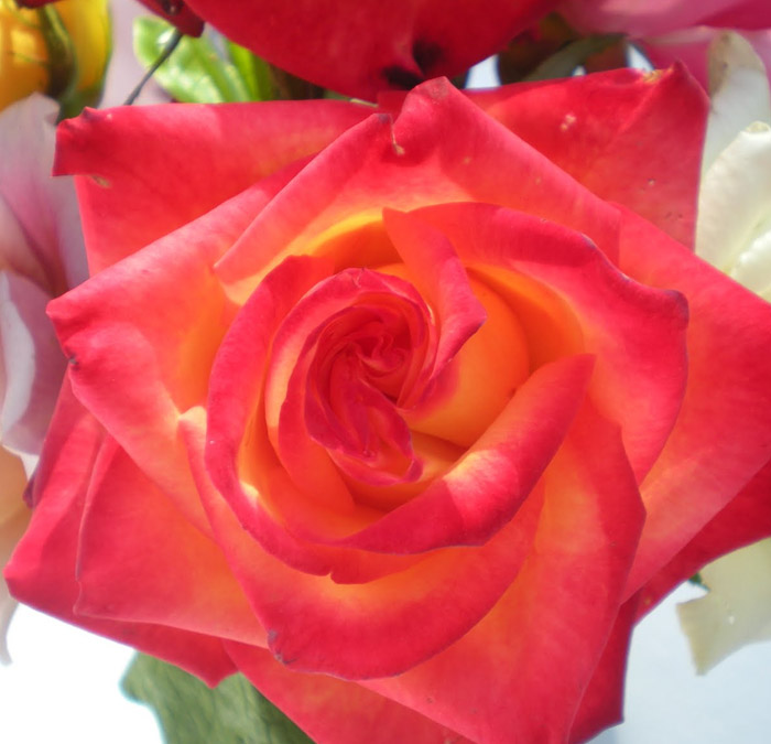 To Our Mothers…