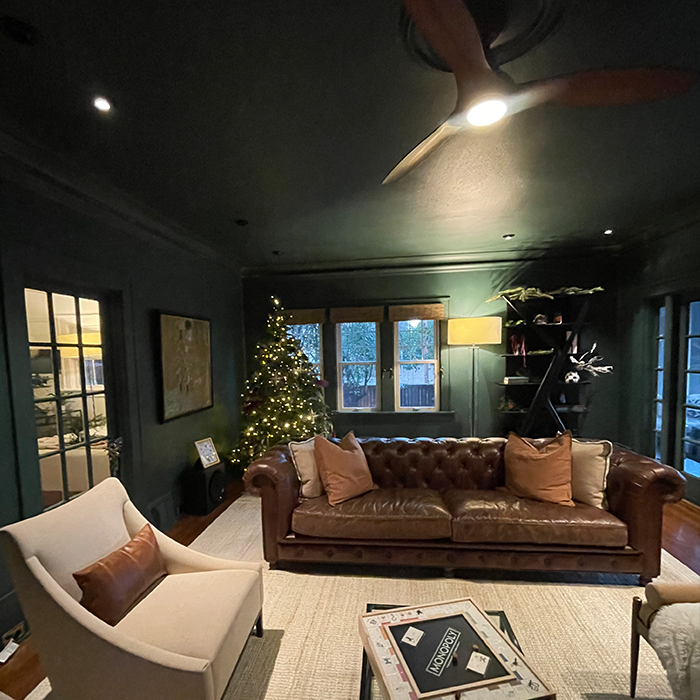 The 101 on Color Drenching - Rebecca Ward Design